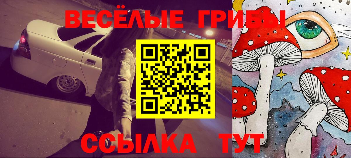 Псилоцибиновые грибы Psilocybine cubensis  Вход с VPN  Чита 