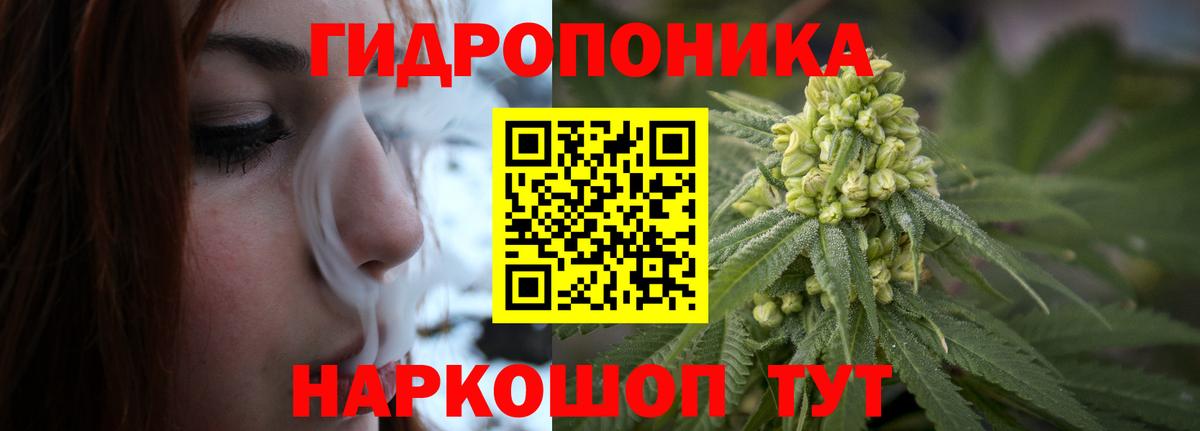 Бошки марихуана семена Чита